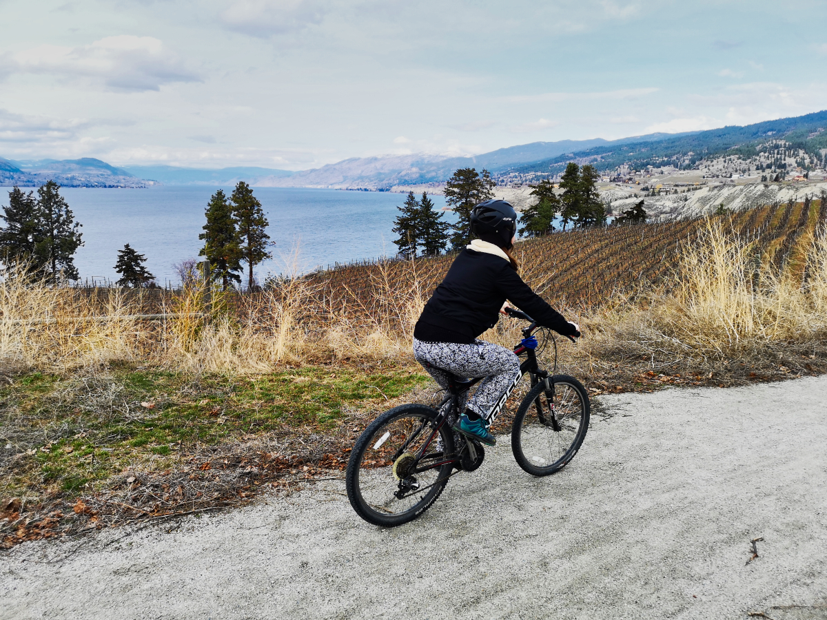 You are currently viewing Kettle Valley bike tours in British Columbia