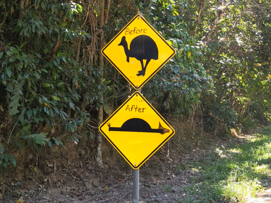 Cassowary sign in Daintree Rainforest and Cape Tribulation