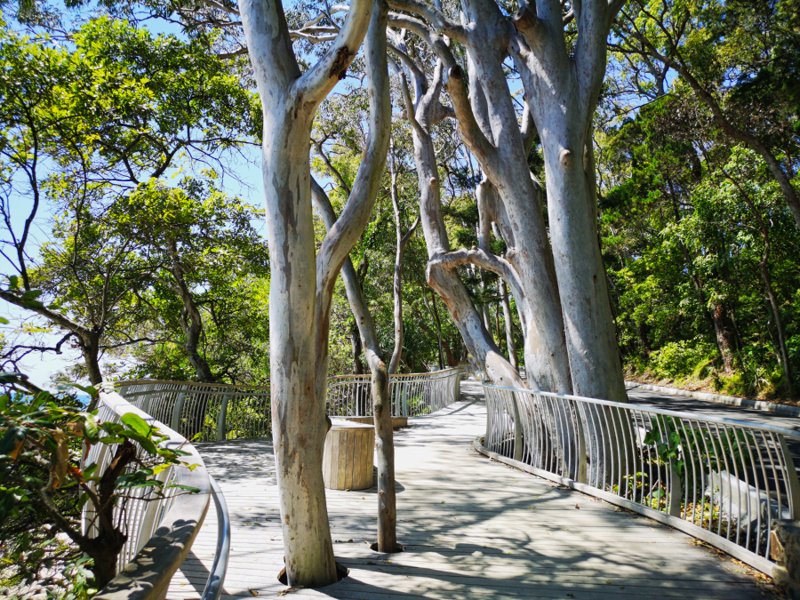Noosa Coastal Walk - my favourite stop in east coast Australia